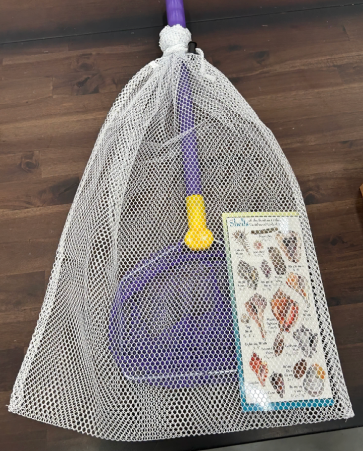 Fossil Collecting