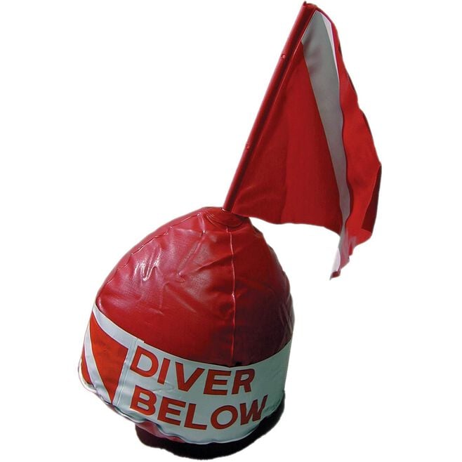 Inflatable Float and Flag
