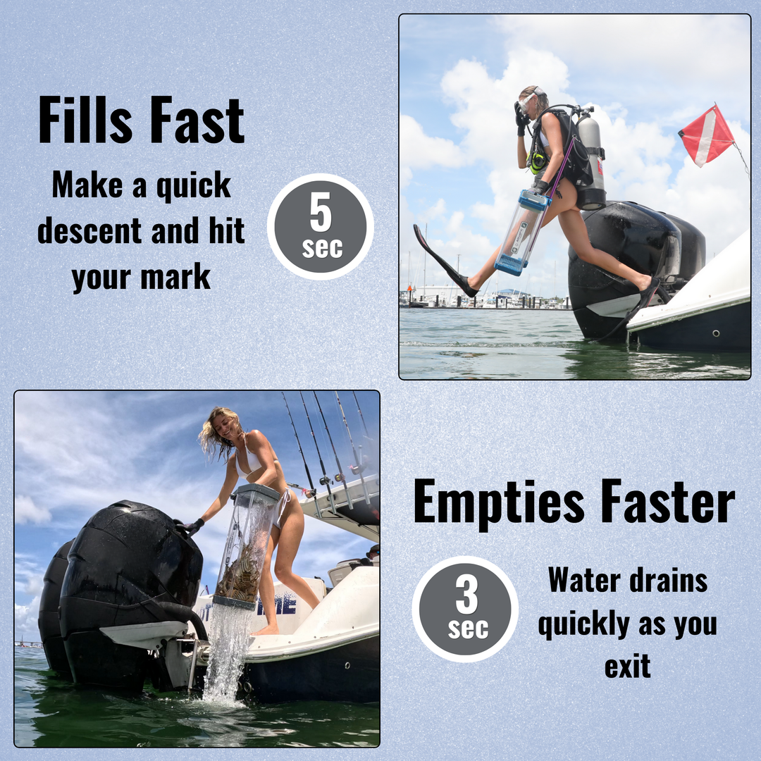 Lionfish Locker fills fast and empties faster