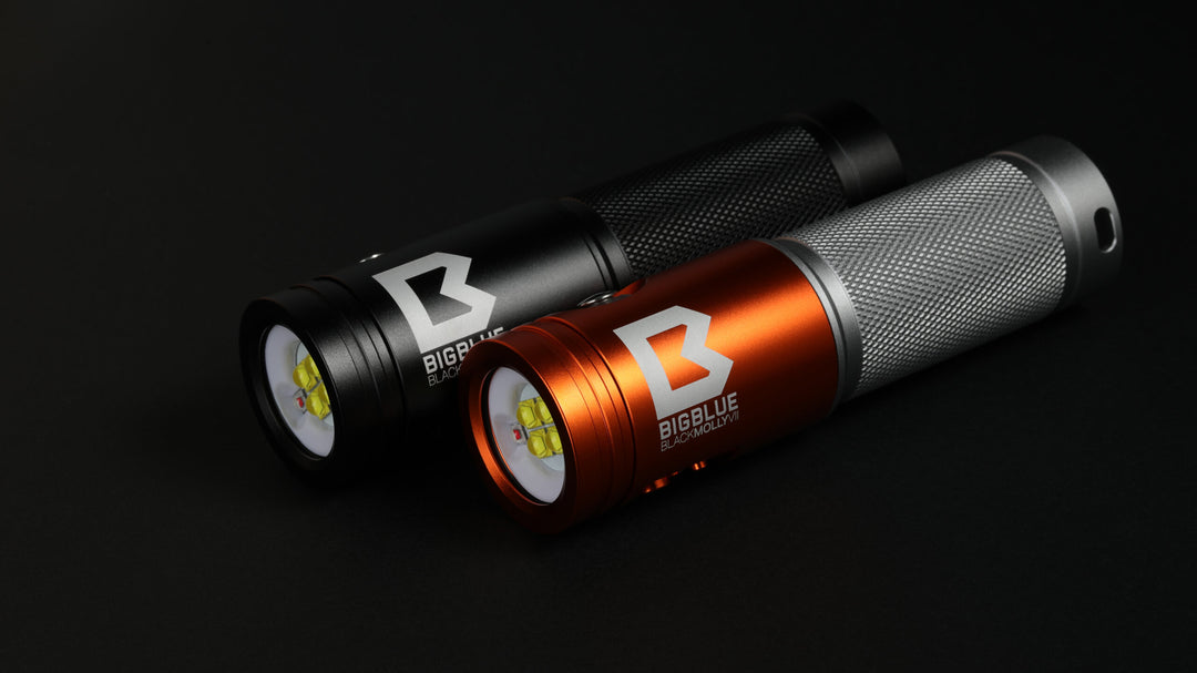Bigblue 2900 Lumen Extra-Wide Video Light