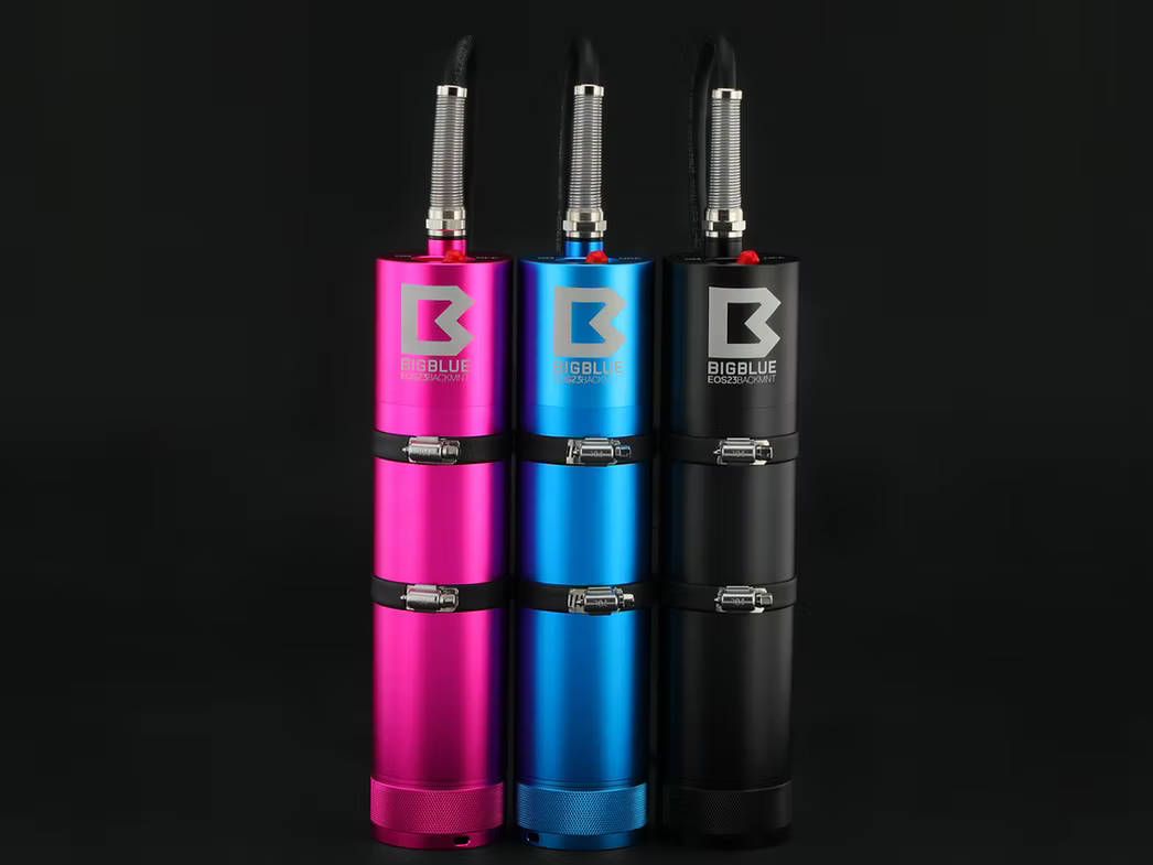 Bigblue EOS Canister Backmount Only