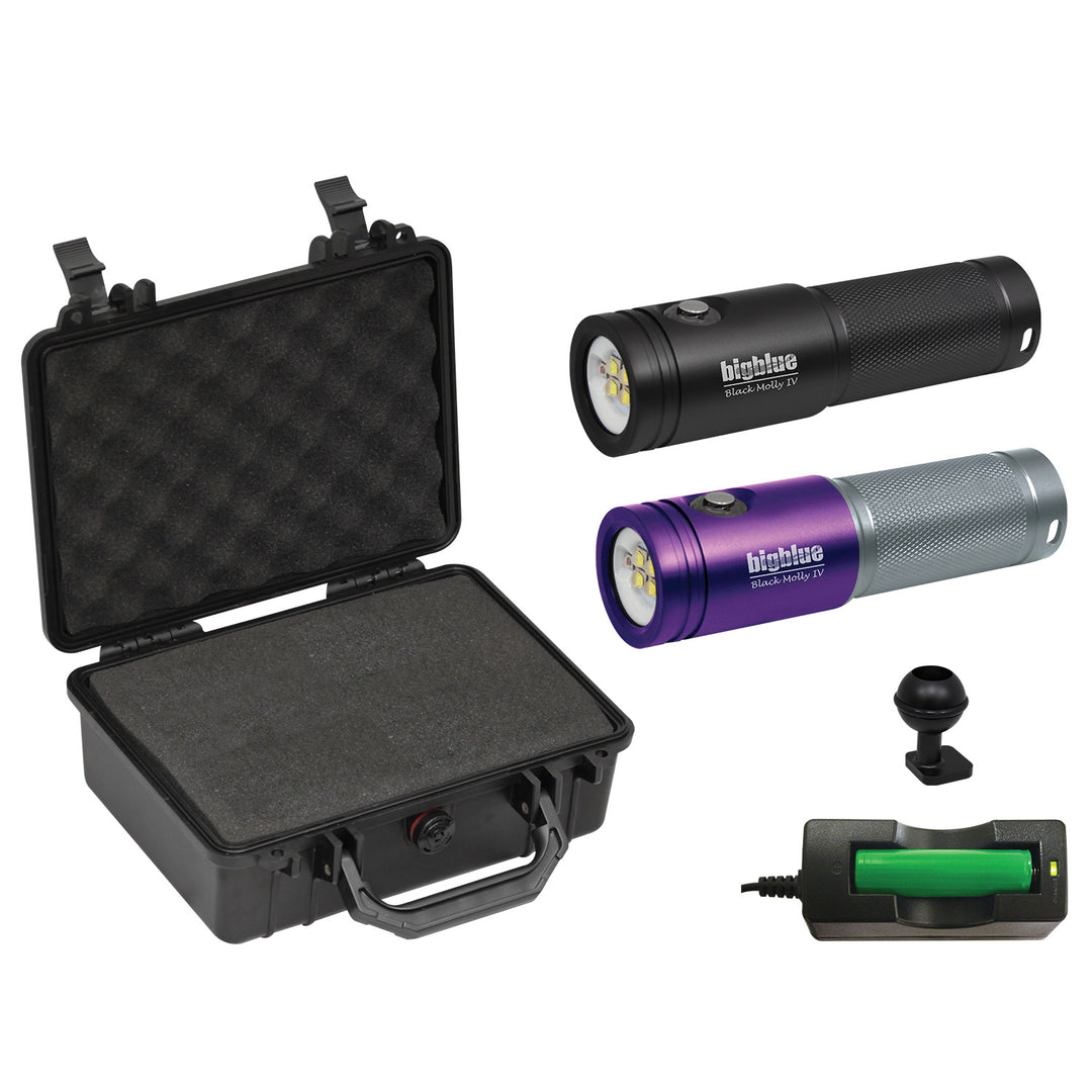 Bigblue Black Molly VI with Hard Case (AL2000XWP-II)