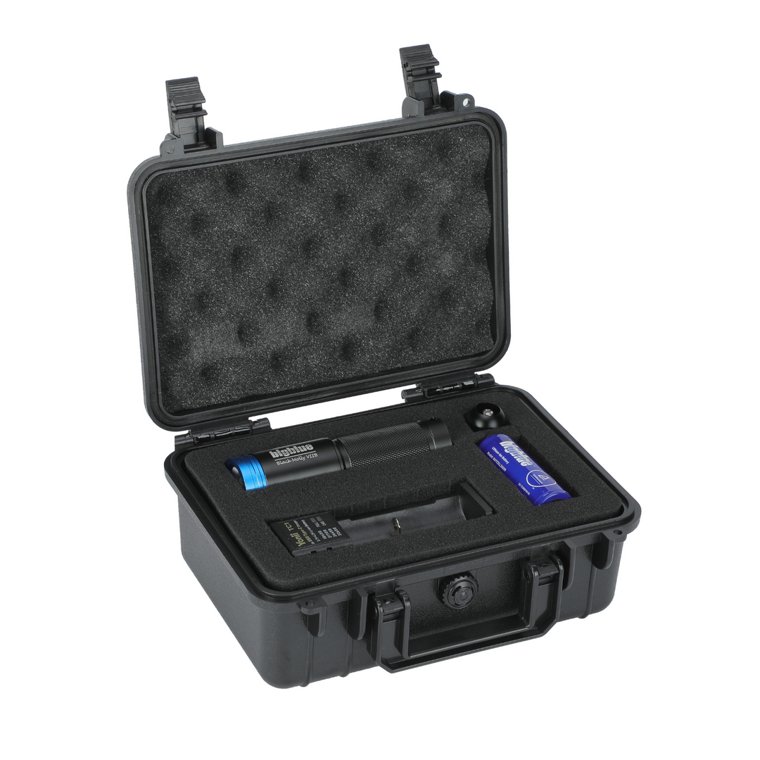 Bigblue AL2900XWP-B Black with Hard Case (PC-AL2900XWPB-BK)
