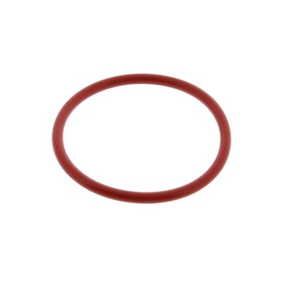 Dive Rite Canister O-Ring