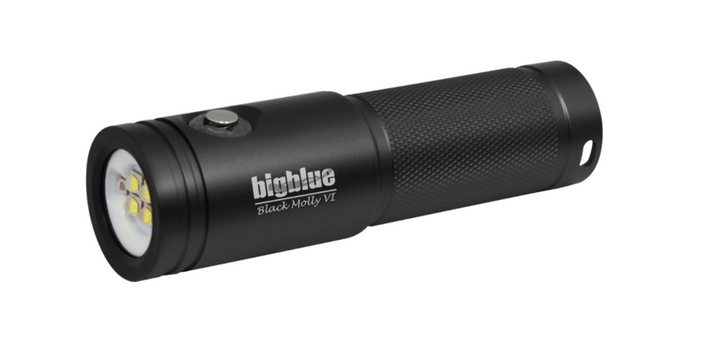Big Blue Video Light: Black Molly: 2000-Lumen Video Light