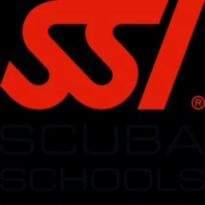 Computer Diver Course - SSI